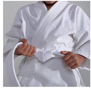 White Martial Arts Belt with Embroidered Logo, Advance Choice, judo karate etc